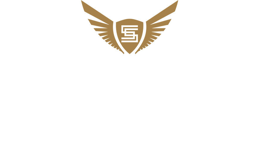 siddharth skyz logo